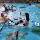 미로정원마을 이미지