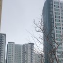 마린푸르지오 아파트 후문 네이버블로그
