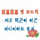 탐라귤빛 | 펠롱펠롱 빛 모드락 - 제주 목관아 야간 미디어아트 후기