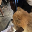 오르타의원 이미지