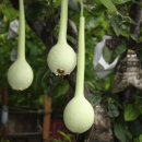 이화농원 이미지