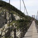 1일 1취미,  꽃이 피는 화(花)요일 | 경남 통영 연화도 수국길｜개화시기, 가는법, 트레킹 코스, 배편 예약 총정리