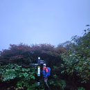 노고단-16 이미지