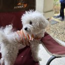 우일농장 | 나나가 전부였던, 5월 일상😋