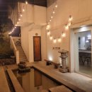 다랑참치 이미지