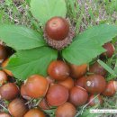 용준농장 이미지