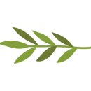 킴스여행주