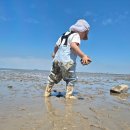 두몽&달금 | [내돈내산] 대부도 펜션 두몽&amp;달금 : 대부도 오션벨리원_ 오션벨리 펜션타운