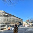 강남세계로약국