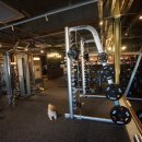 피티인거여 이미지