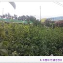 동신영농(주) 이미지