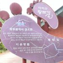 다리안 황토길 이미지