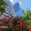 명진부동산중개 이미지