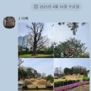 인 더 소울
