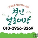 철인벌초대장 이미지