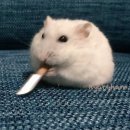 승마체험코스 이미지