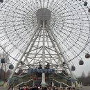 초심, 처음태권도 이미지