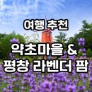 약초마을 이미지