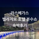 라스베가스오락실 | [라스베가스 여행] 아이와 함께한 벨라지오 호텔...View King Room 분수쇼 후기 헬스장 수영장 주차장