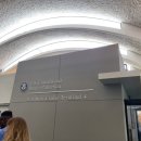 D00901 | MSC 크루즈 기항지5 : 푸에르토리코 산후안 / 미국 입국 심사