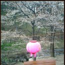 앞산공원 이미지