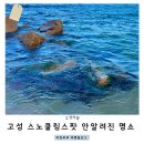 하비치 | 고성 스노쿨링 스팟 안알려진 명소 이름없는 해변&amp;고성 하비치 펜션 추천