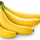 정글속 으로 들어와봐 바나나 나무 바나나 효능과 부작용 꽃말 이미지