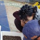 예닮농장 이미지