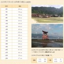 이츠관광호텔 | Day 2 여름의 미야지마 섬 데이투어 후기(다이쇼인, 이츠쿠시마 신사, 미센산 로프웨이, 오모테산도...