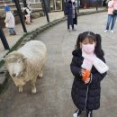 조준농장 이미지