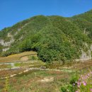 덕우리마을 이미지