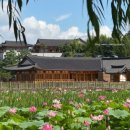 남도 생태 남도 국밥 | [2026 여름 전주 여행] 도심 속 연꽃 바다와 한옥의 정취, 전주 덕진공원 완벽 가이드