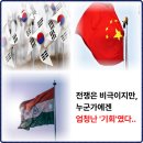 돈버는나비