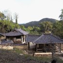 광제정 이미지