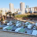 호수공원 추가 이미지