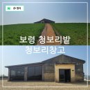 남당리 - 좌 | 보령 가볼만한곳 천북 폐목장 청보리밭 카페 청보리창고 벚꽃만발