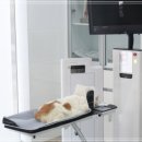 친절한 동물병원 이미지