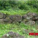 유포석보 이미지