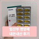 녹십자온누리약국 | 임산부 영양제, 임신 전부터 32주까지 내돈내산 후기