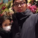 늘새로와 이미지