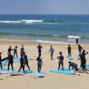 바다야놀자 이미지