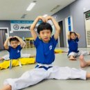 아이사랑 태권도 이미지