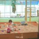 한덕농장 | 서울근교 경기도 농촌체험 꿈꾸는 키즈팜 평택 아이랑 가볼만한곳 실내