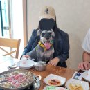 우진한우농장 | [거제 애견동반식당] 강아지 운동장이 있는 우진식당 매미성본점