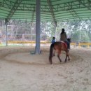 부안아리울승마장 이미지