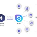 보라(Bora) 네이버블로그