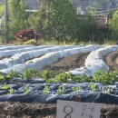 선들농장 이미지