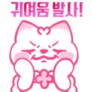 당당이 애견 이미지