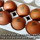 신선팜스 | 난각번호1번 유정란 계란 추천 가자팜스 신선한 달걀 요리와 정기구독 후기