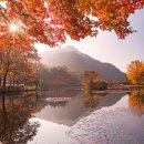 농업회사법인 산들래(주) 이미지